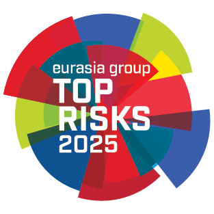 Top Risks 2025 cover